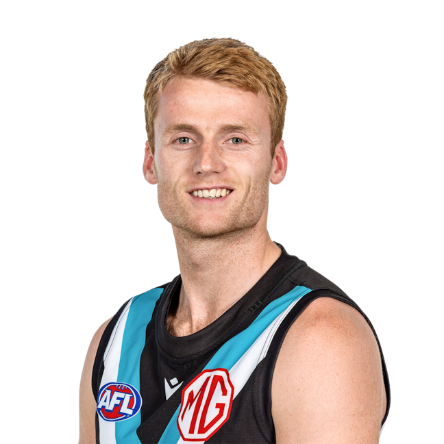 Willem Drew profile picture